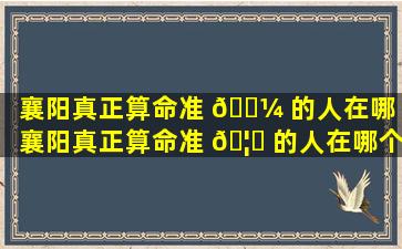 襄阳真正算命准 🐼 的人在哪（襄阳真正算命准 🦆 的人在哪个地方）